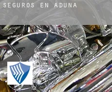 Seguros en  Aduna