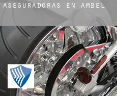 Aseguradoras en  Ambel