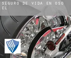 Seguro de vida en  Oso (El)