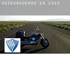 Aseguradoras en  Cosa