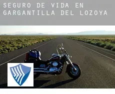 Seguro de vida en  Gargantilla del Lozoya y Pinilla de Buitrago