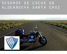 Seguros de coche en  Aldeanueva de Santa Cruz