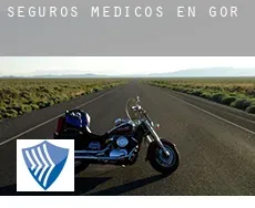 Seguros medicos en  Gor
