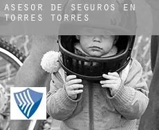 Asesor de seguros en  Torres Torres