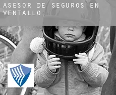 Asesor de seguros en  Ventalló