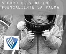 Seguro de vida en  Fuencaliente de la Palma