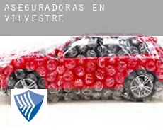 Aseguradoras en  Vilvestre