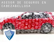 Asesor de seguros en Cabezabellosa