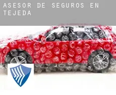 Asesor de seguros en  Tejeda