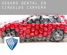 Seguro dental en  Ciruelos de Cervera