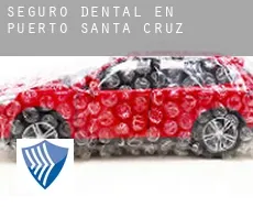 Seguro dental en  Puerto de Santa Cruz