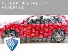 Seguro dental en  Viñuelas