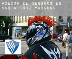 Asesor de seguros en  Santa Cruz de Yanguas