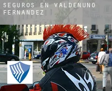 Seguros en  Valdenuño Fernández