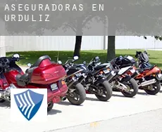 Aseguradoras en  Urduliz