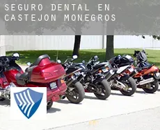 Seguro dental en  Castejón de Monegros