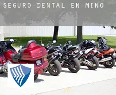 Seguro dental en  Miño