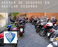 Asesor de seguros en  Aguilar de Segarra