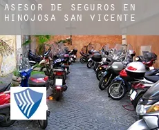 Asesor de seguros en  Hinojosa de San Vicente