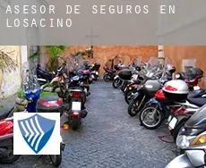 Asesor de seguros en  Losacino