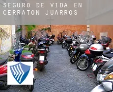 Seguro de vida en  Cerratón de Juarros