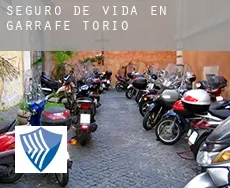 Seguro de vida en  Garrafe de Torío
