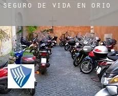 Seguro de vida en  Orio