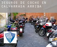 Seguros de coche en  Calvarrasa de Arriba