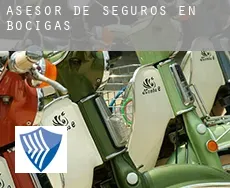 Asesor de seguros en  Bocigas