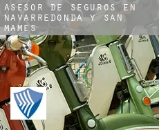 Asesor de seguros en  Navarredonda y San Mamés