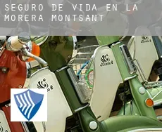 Seguro de vida en la Morera de Montsant
