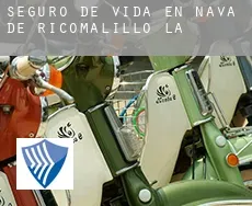 Seguro de vida en  Nava de Ricomalillo (La)