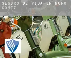Seguro de vida en  Nuño Gómez