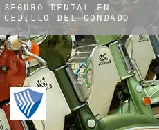Seguro dental en  Cedillo del Condado