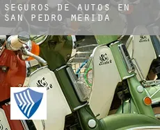 Seguros de autos en  San Pedro de Mérida