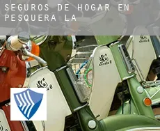 Seguros de hogar en  Pesquera (La)
