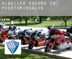 Alquiler seguro en  Puertomingalvo