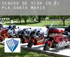 Seguro de vida en El Pla de Santa Maria