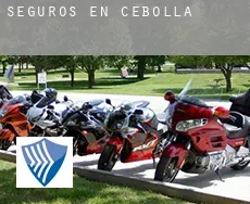 Seguros en  Cebolla