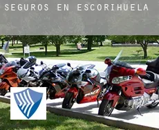 Seguros en  Escorihuela