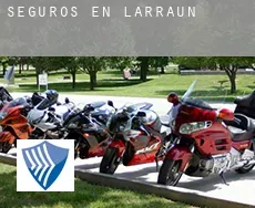 Seguros en  Larraun