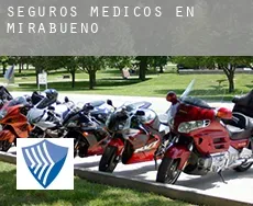 Seguros medicos en Mirabueno