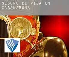 Seguro de vida en  Cabanabona