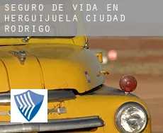 Seguro de vida en  Herguijuela de Ciudad Rodrigo