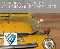 Seguro de vida en  Villarcayo de Merindad de Castilla la Vieja