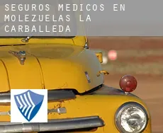 Seguros medicos en  Molezuelas de la Carballeda
