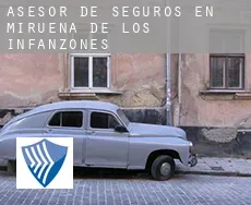 Asesor de seguros en  Mirueña de los Infanzones