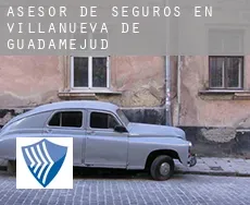 Asesor de seguros en  Villanueva de Guadamejud