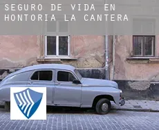 Seguro de vida en  Hontoria de la Cantera