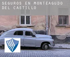 Seguros en  Monteagudo del Castillo